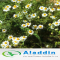 Chrysanthemum indicum Extract 10:1 herb medicine